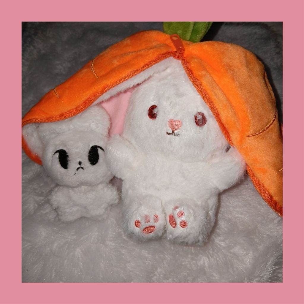 HADDO DOLL DOYOUNG FANMADE 10cm + DOLL RABBIT BUNNY