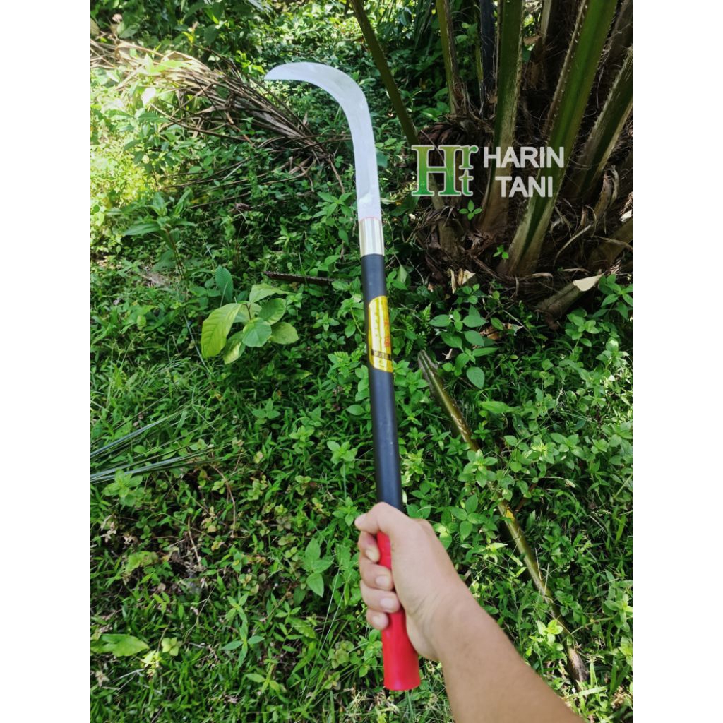 alat pemetik buah / kastrasi / pangkas dahan kecil / penyiang rumput malaysia panjang 60 cm - sabit 
