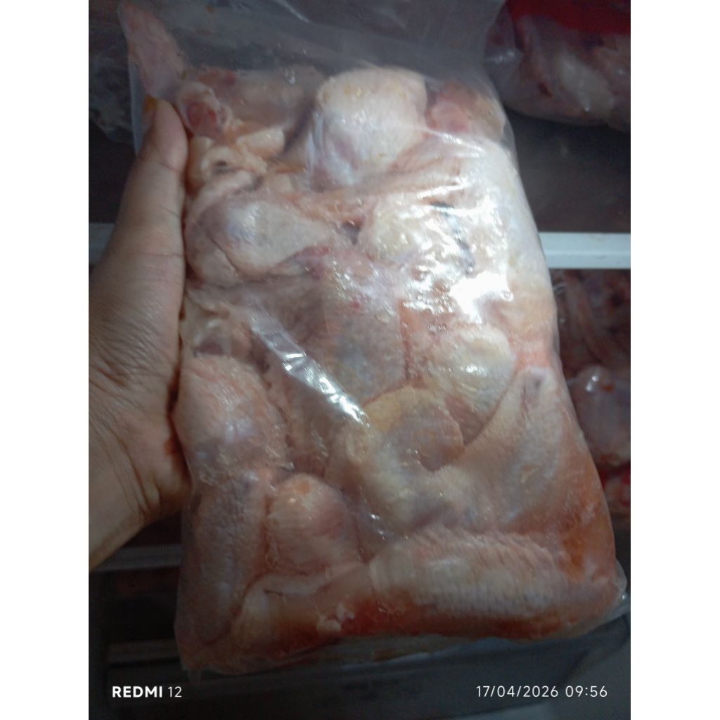 frozen sayap ayam