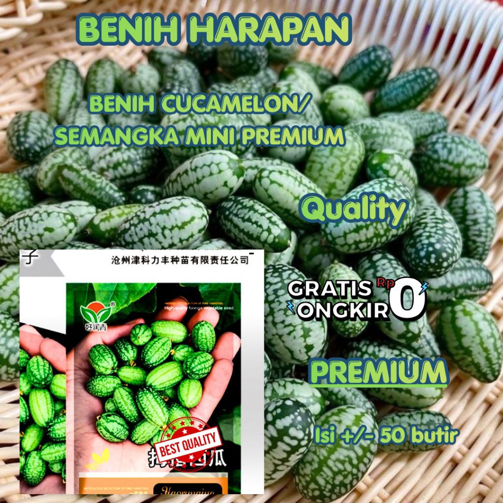 (50 butir) benih/biji cucamelon/semangka mini/timun mini kemasan premium