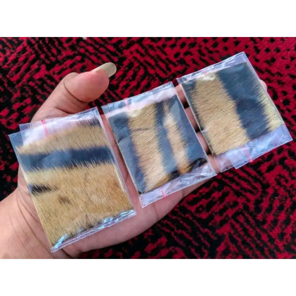 kulit hm original asli hm corak belang