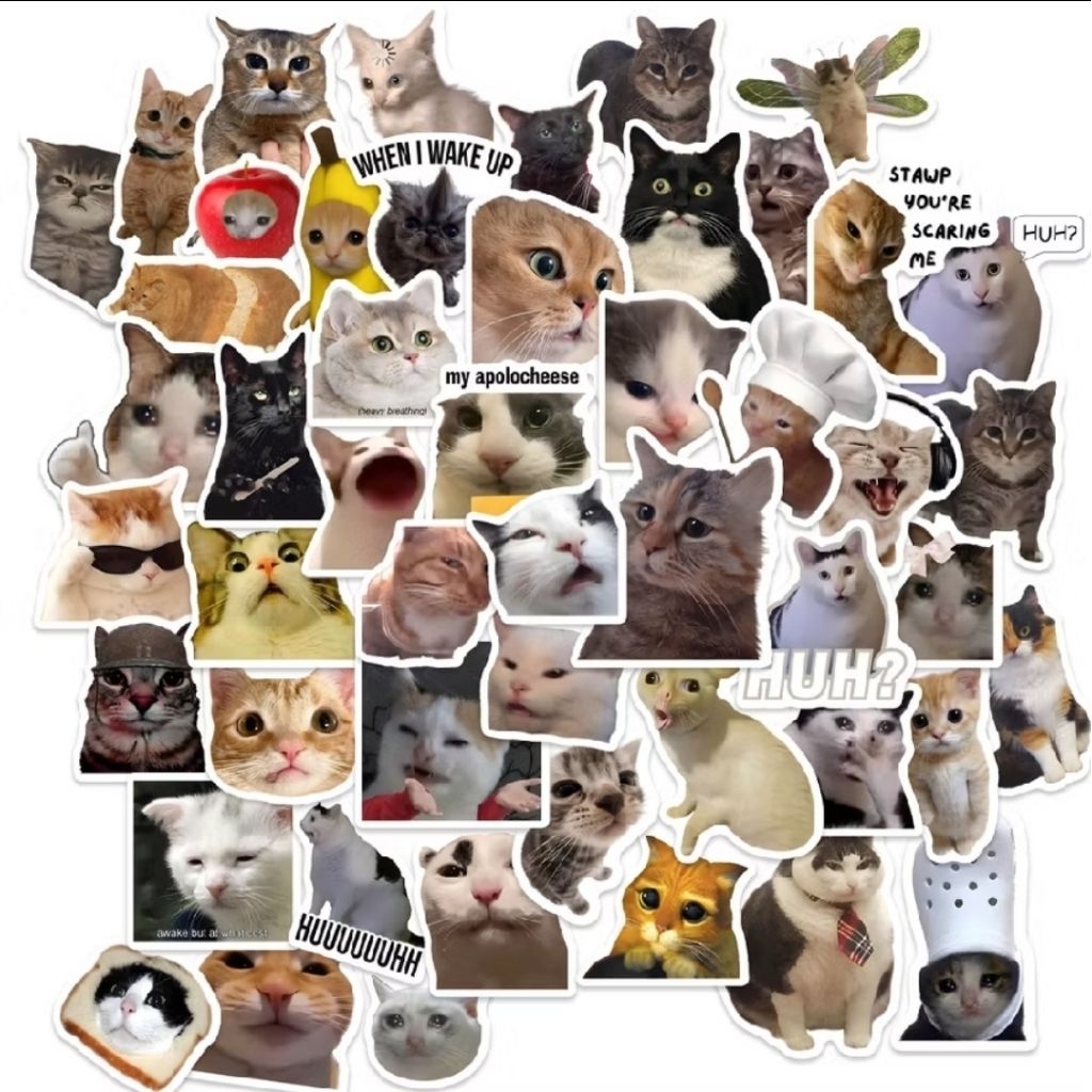 [50Pcs] STIKER KUCING LUCU STIKER MEME KUCING LUCU