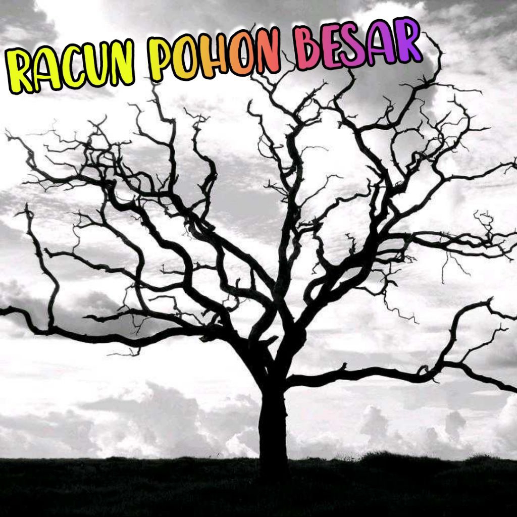 Racun Pohon Besar