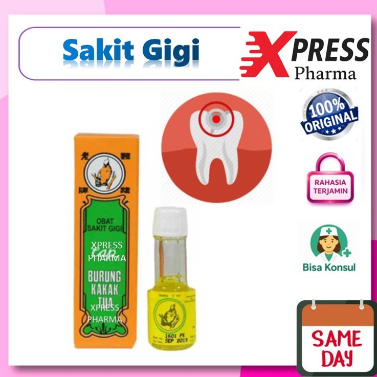 XPRESS  Obat Sakit Gigi Cap Burung Kakak Tua Kakaktua Kakaktua kakatua