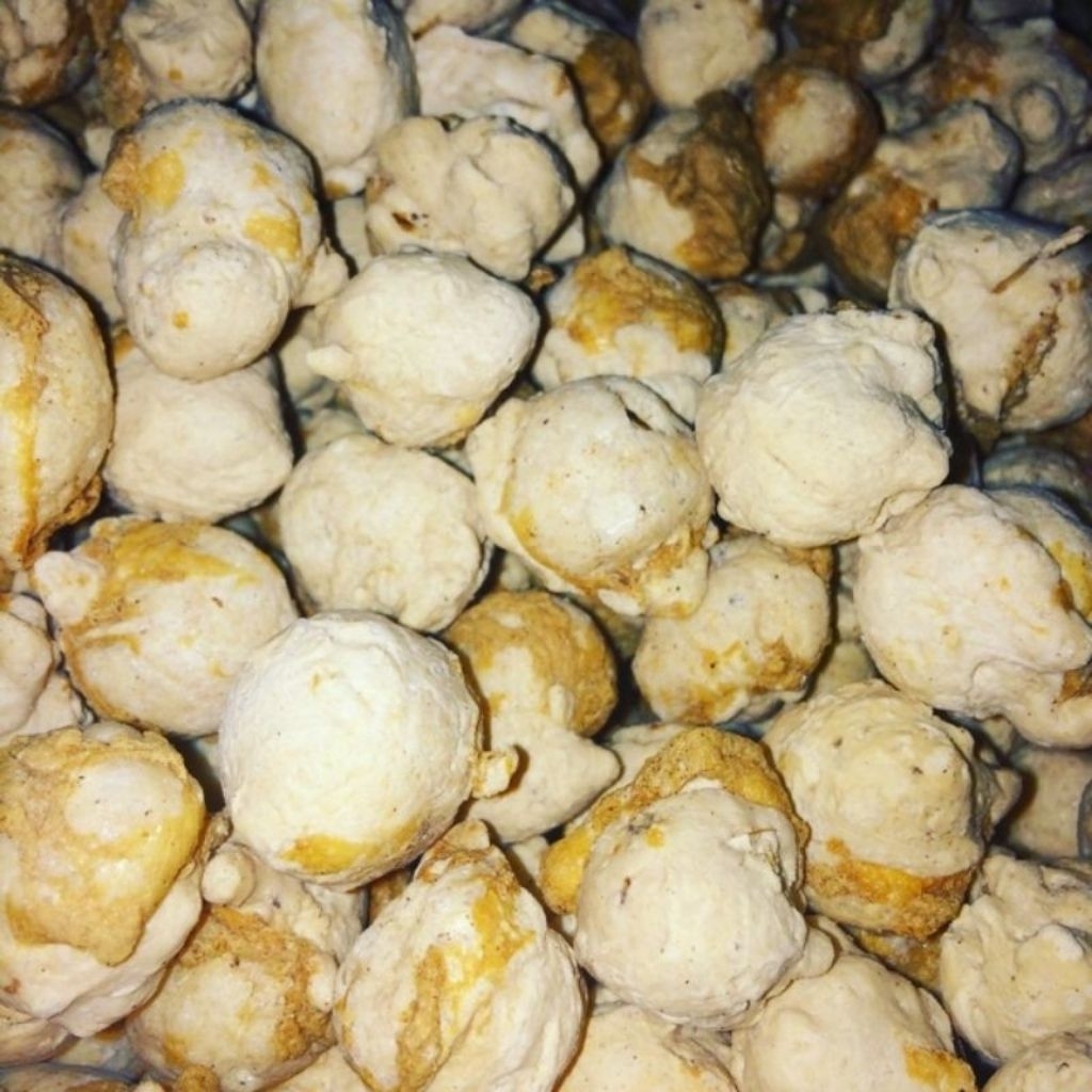 batagor mini kering