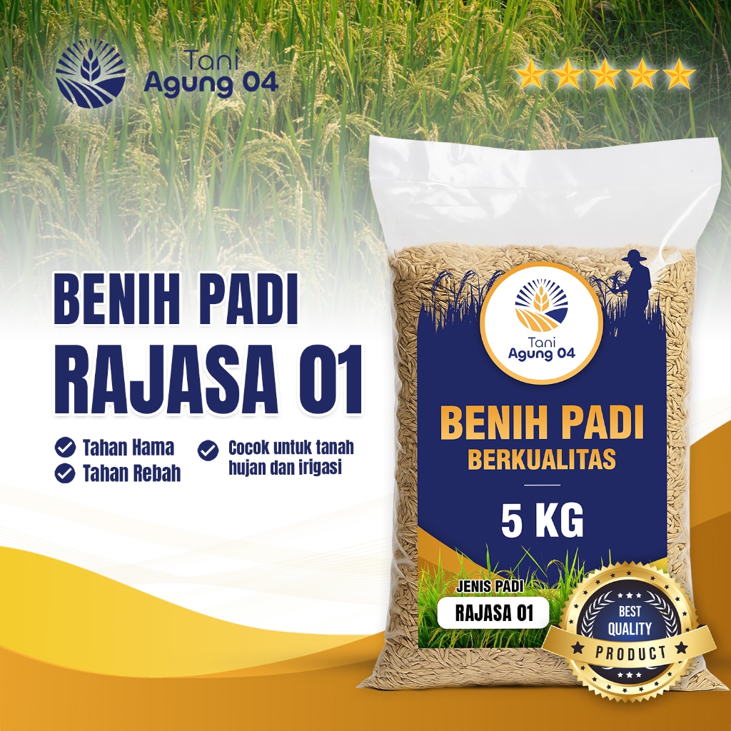 Benih Padi Bibit Padi RAJASA 01 Kualitas Original Kemasan 5 Kilo