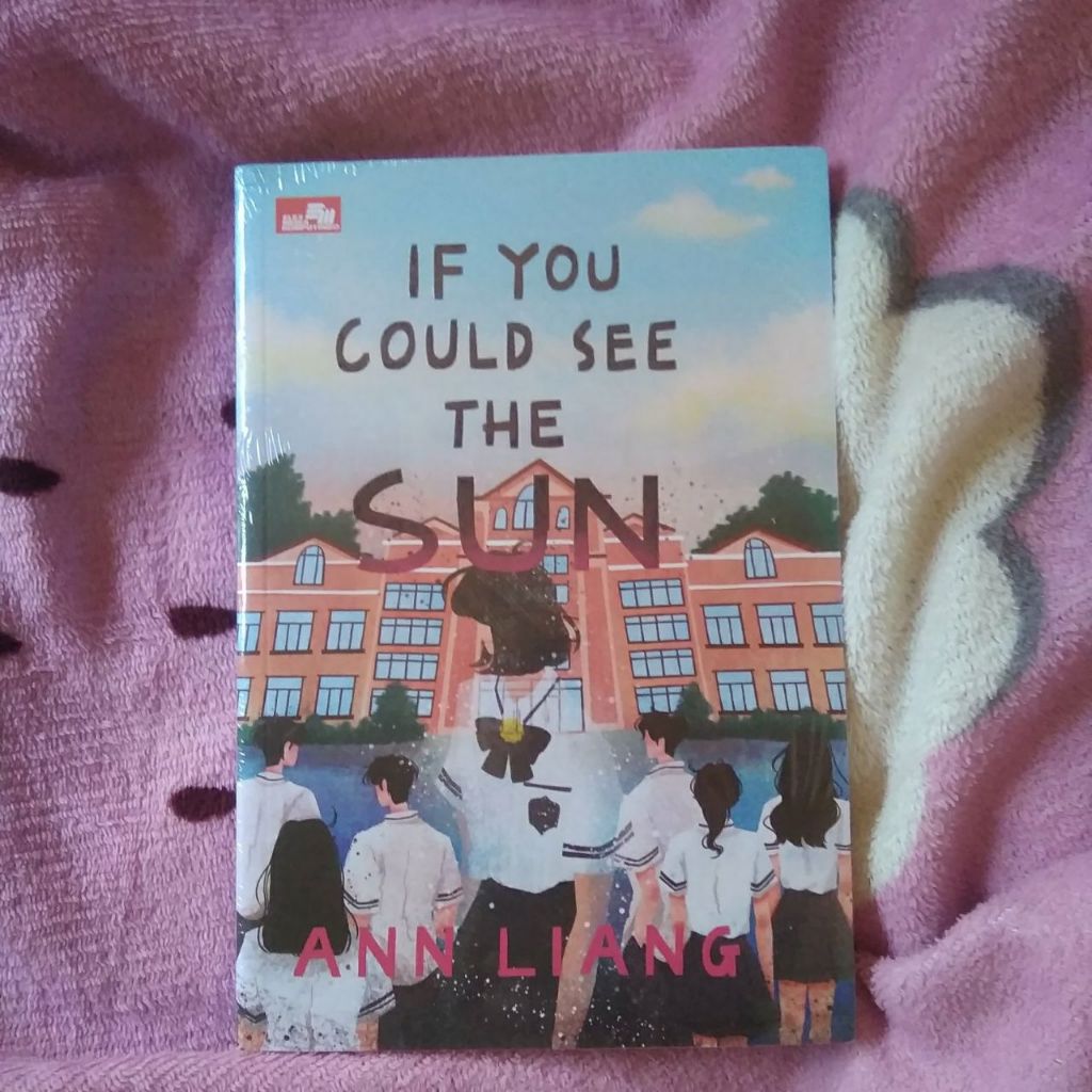 if you could see the sun