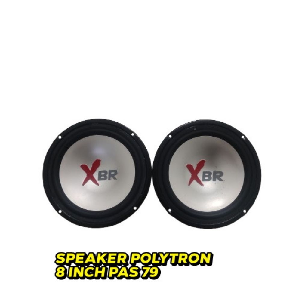 SPEAKER SUBWOOFER 8INCH COPOTAN POLYTRON XBR PAS 79