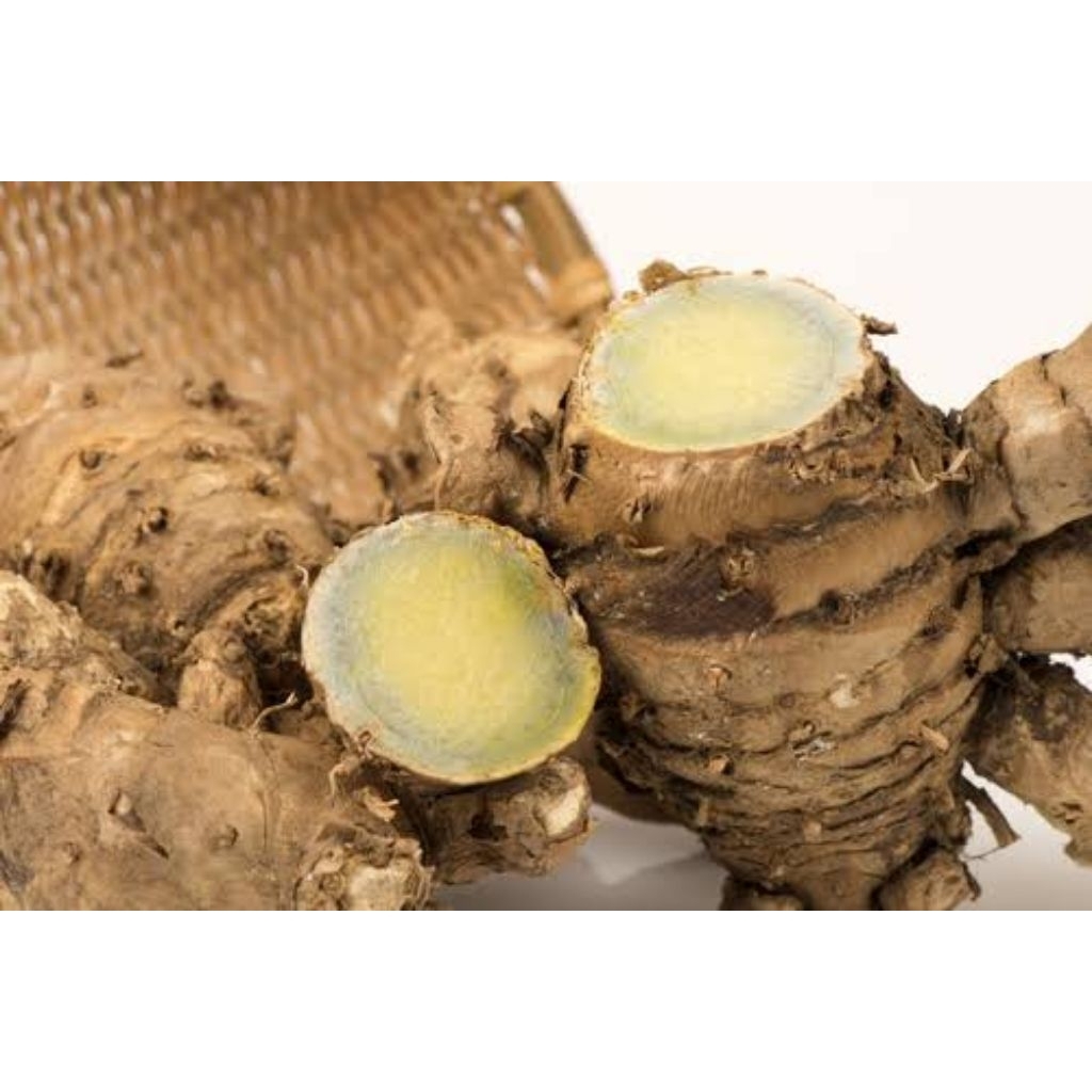 temu Ireng segar, temu Ireng fresh, temu Ireng herbal, temu Ireng fresh herbal 0.5kg