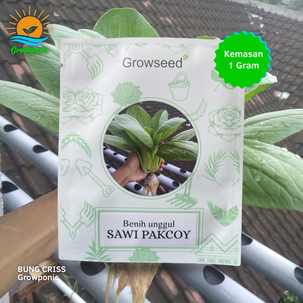 Benih Bibit F1 Pakcoy 1 Gram (±500 butir) Growseed - Sawi Unggul Pokcoy Phakcoy Bokcoy Daging Sawi S