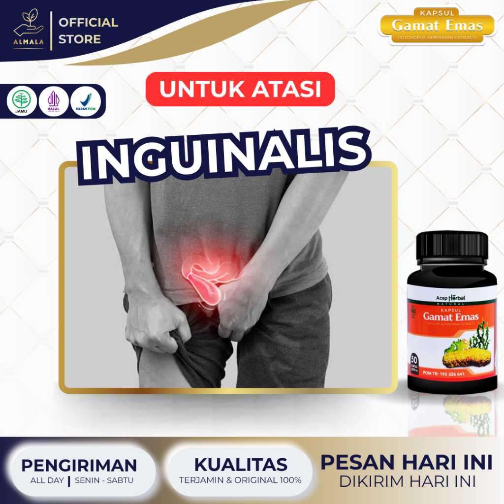 Obat Inguinalis/Femoralis, Turun Berok Pria dan Wanita, Buah Zakar Bengkak, Testis Bengkak/Nyeri, Va