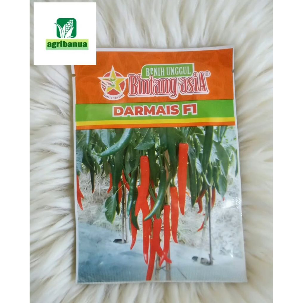 Benih Cabe Merah Besar DARMAIS F1 10 gram Bintang asiA