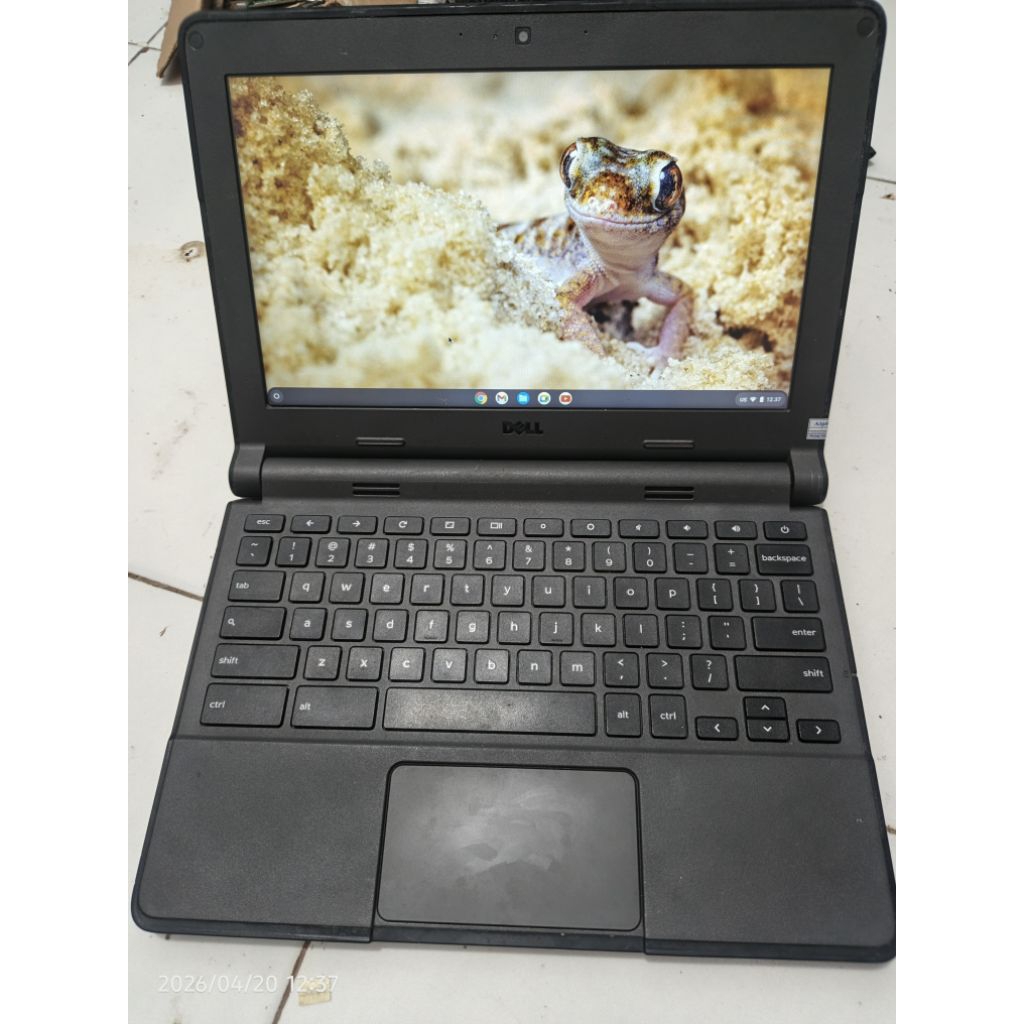 Dell Chromebook 11 P22T second normal