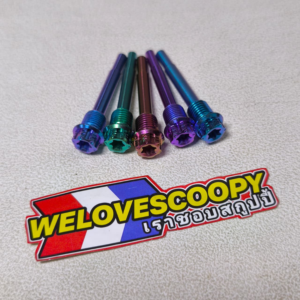 Pin Tojosan Kaliper Nissin Titanium GR5 Original Vietnam / Tojosan kaliper nissin titanium