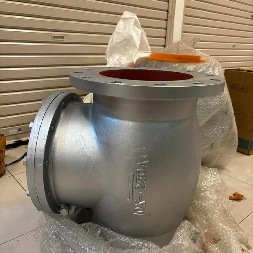 Swing Check Valve 4” inch Cast Iron JIS 10K Flange