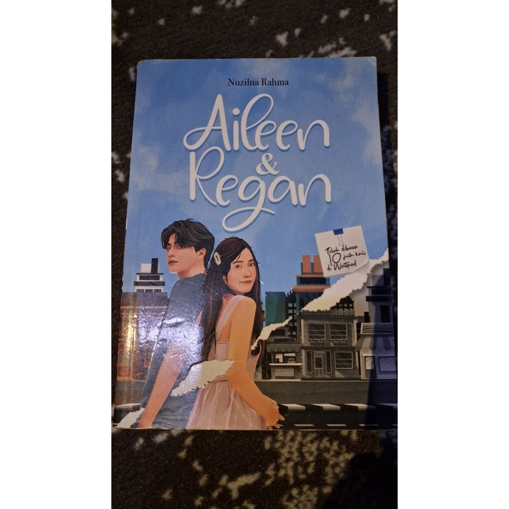 novel aileen dan regan (bekas)