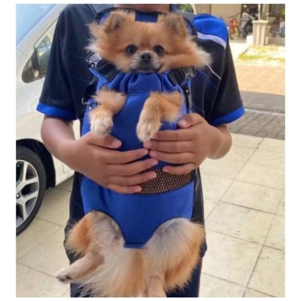 tas gendong kucing / anjing tas gendong hewan kecil tas gendong kucing