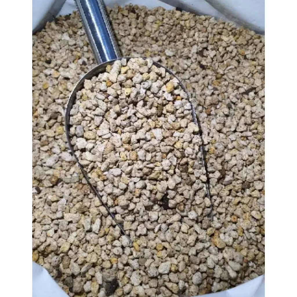 PUMICE - BATU APUNG MEDIA TANAM SUKULEN KAKTUS/ANGGREK-BATU APUNG TERMURAH 500 gram