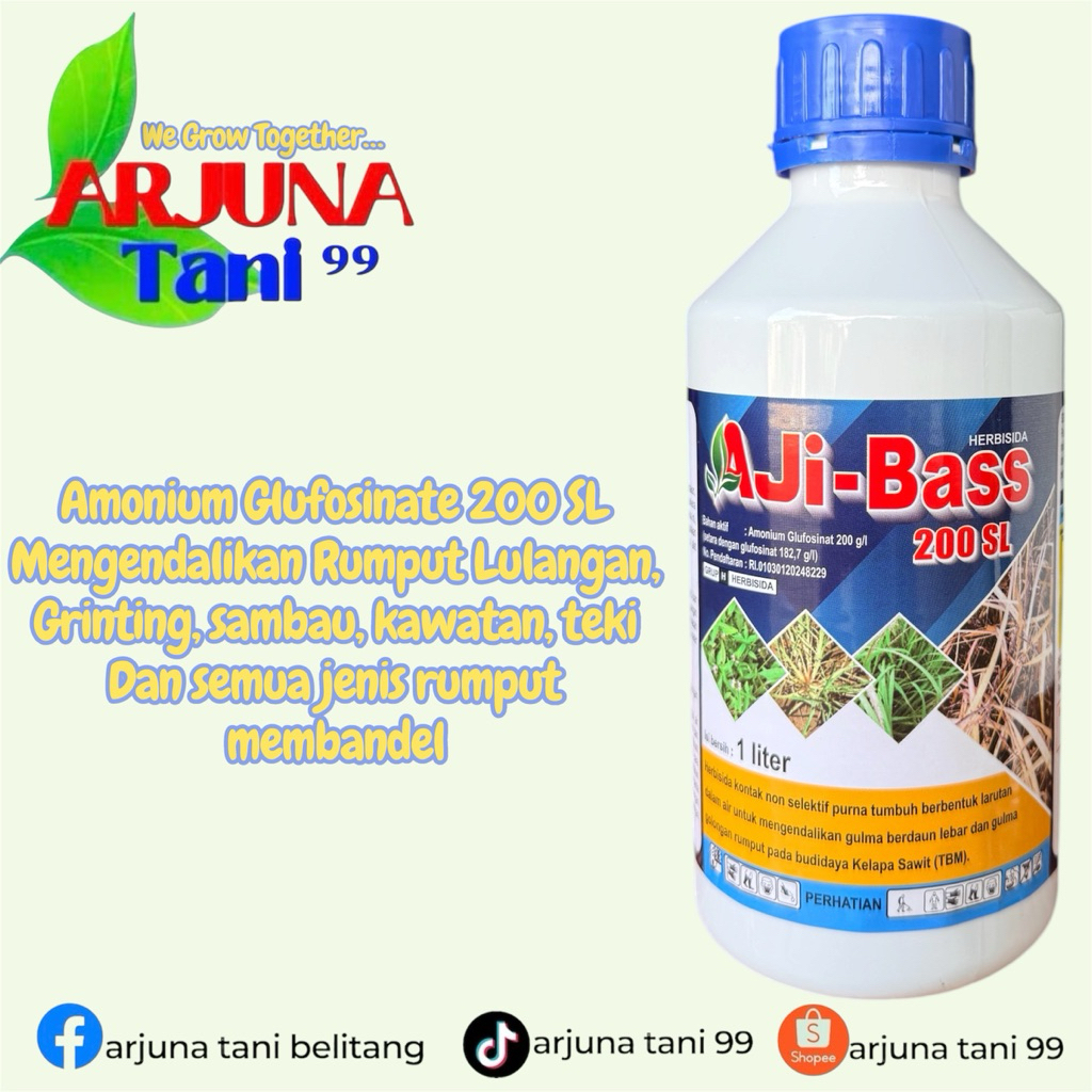 Herbisida Kontak dan Sistemik AJIBASS 200 SL Mengendalikan Rumput Lulangan