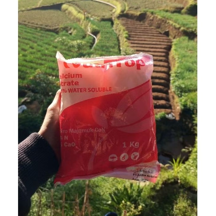 NUTRITOP CALSIUM NITRATE 1KG (PUPUK)