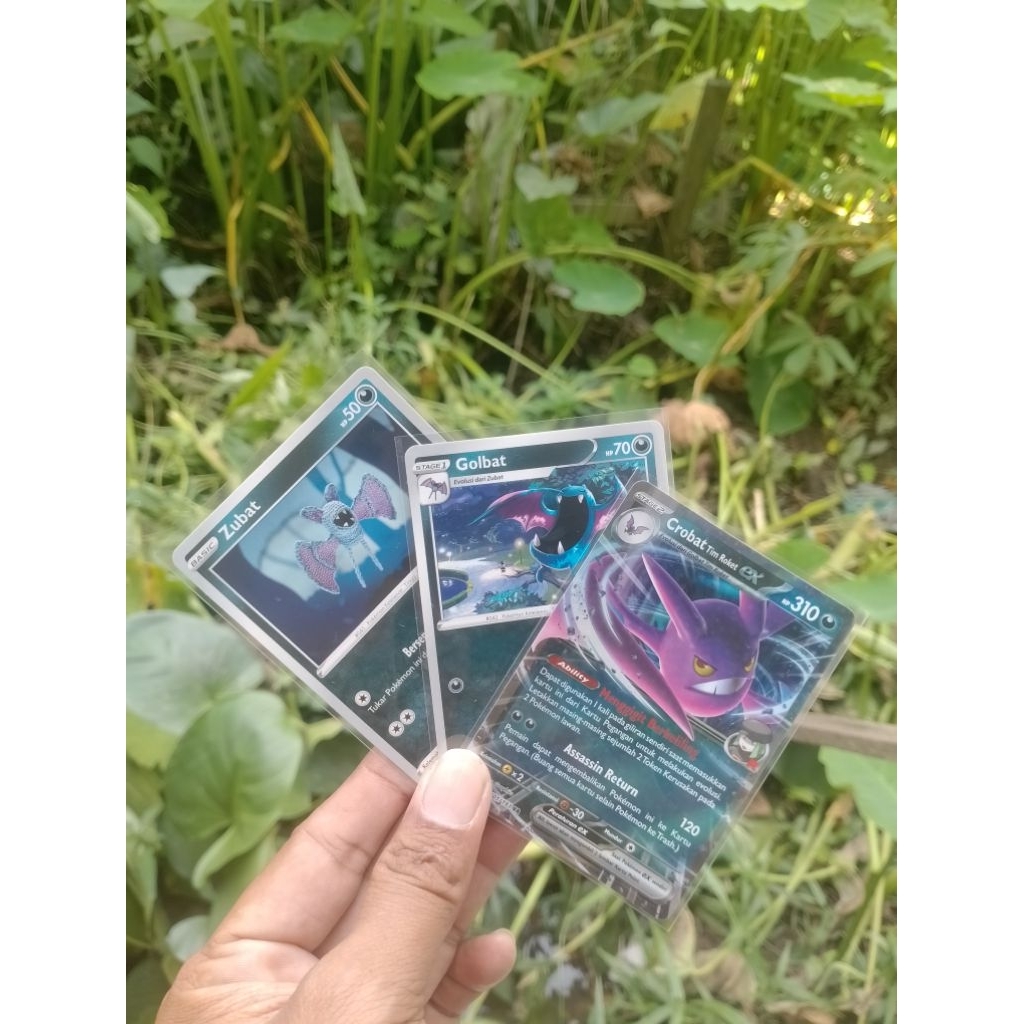 Zubat,Golbat dan Crobat tim roket ex rr