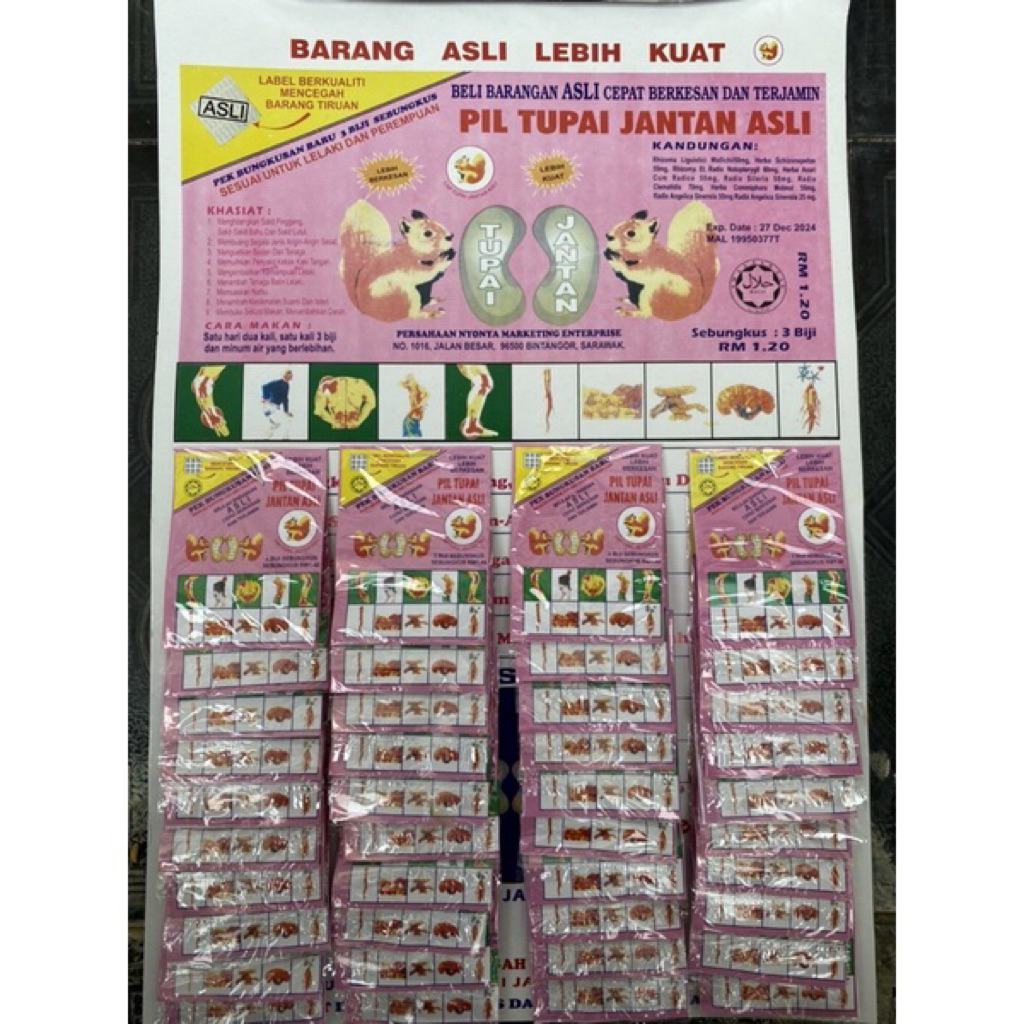 Pil Tupai Jantan Asli - Herbal Kuat Badan, Pereda Nyeri, dan Penambah Stamina
