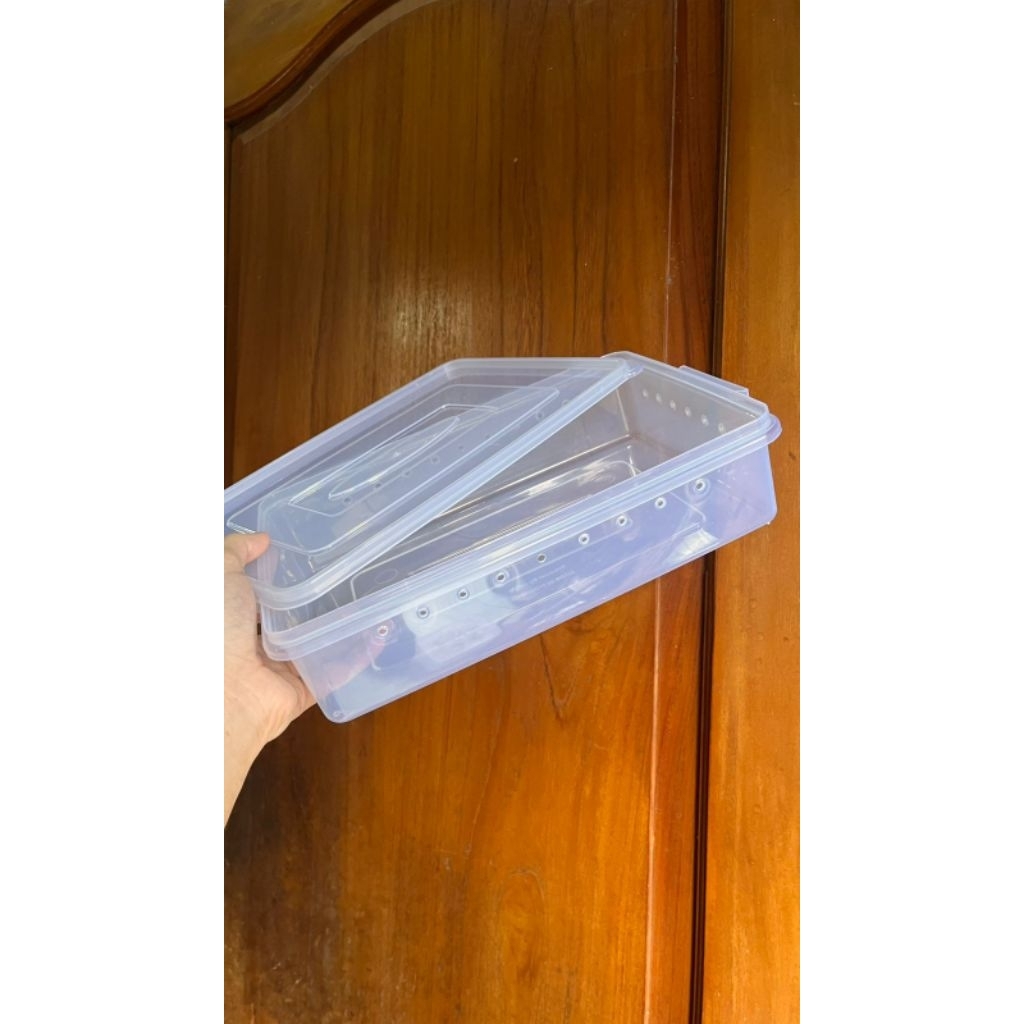 Kandang Box Gecko Cukup Sampai Adult