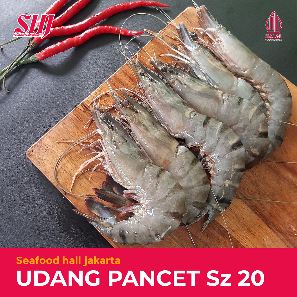 Udang Pancet Size 20 500gr/1kg / Udang Windu Besar / Udang Tiger Segar