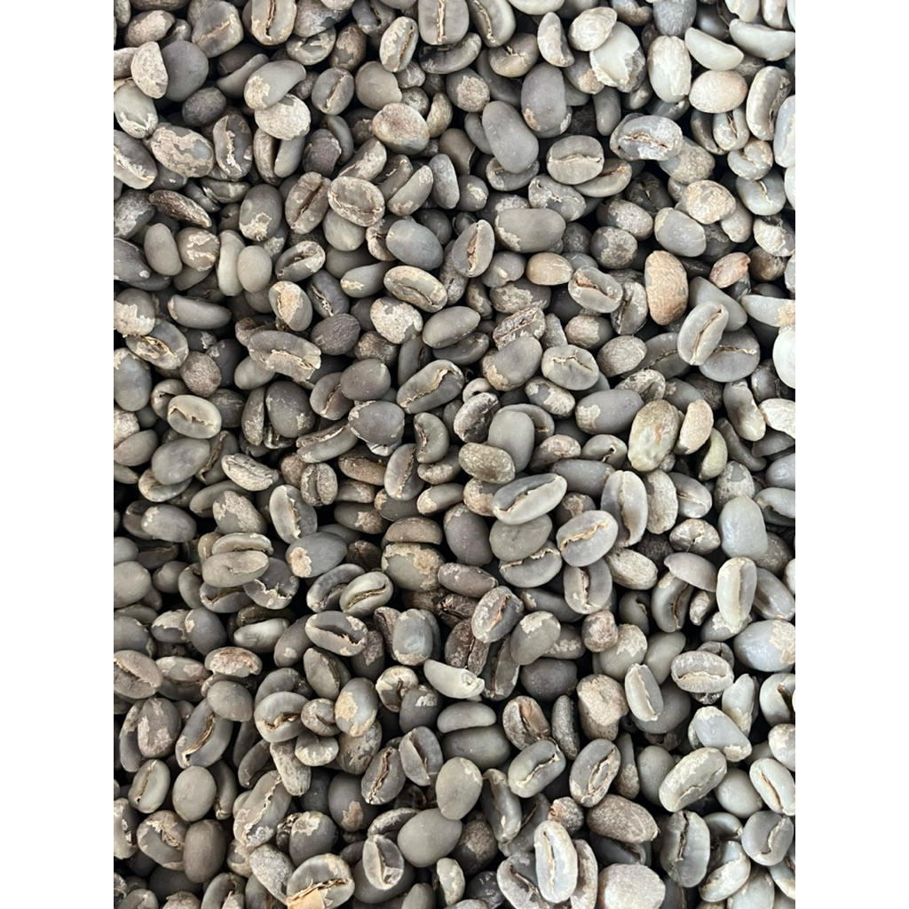 green been/ biji kopi mentah toraja mamasa