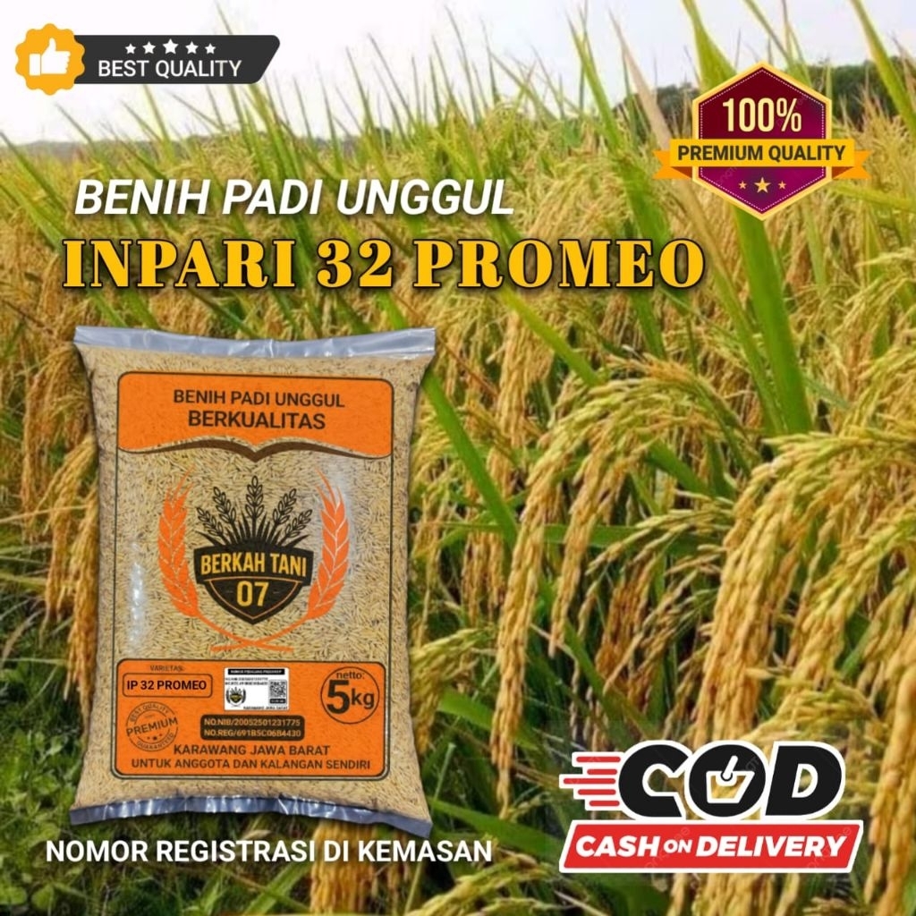 benih padi INPARI 32 PROMEO padi berkualitas.5kg