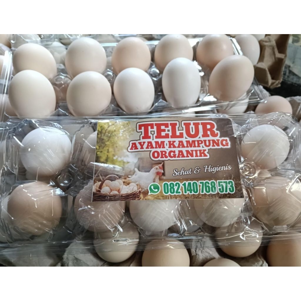 Telur Ayam Kampung Organik