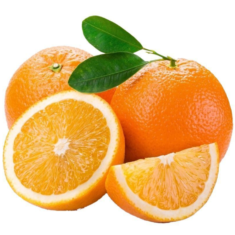Bibit Jeruk Mandarin