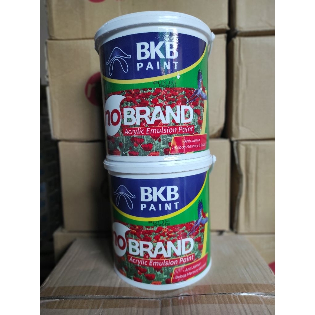 cat tembok no brand 5kg
