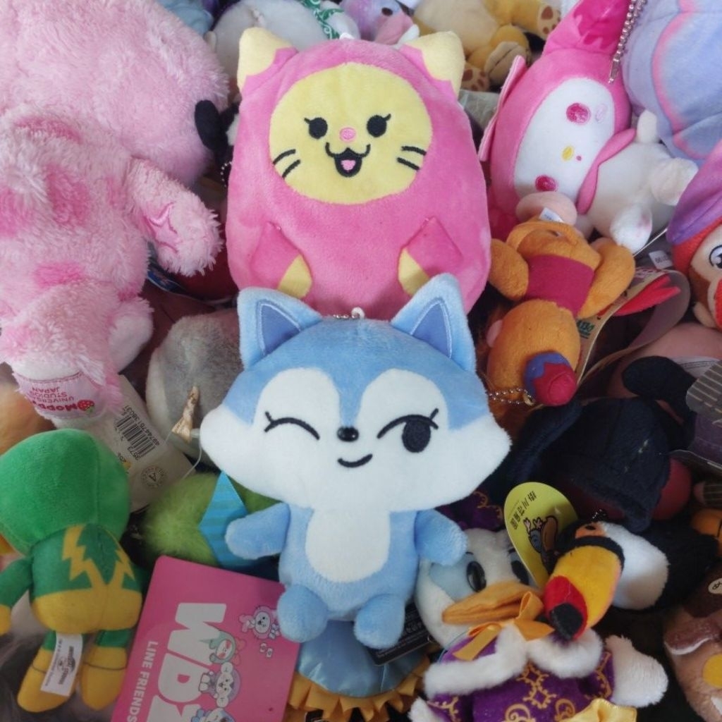BONEKA WDZY