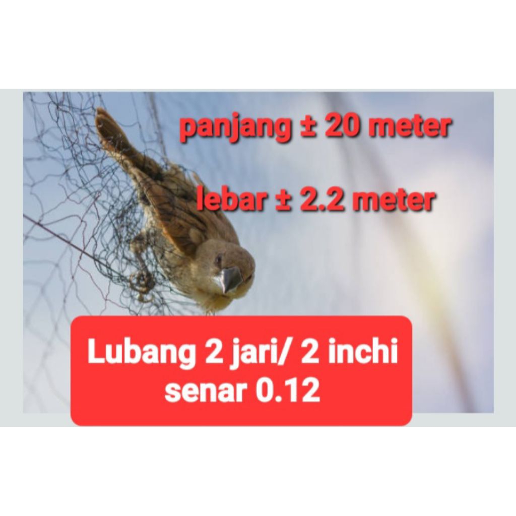jaring burung kecil 2 inchi / 2 jari panjang 20 meter lebar ±2.2 meter jaring burung emprit jaring b