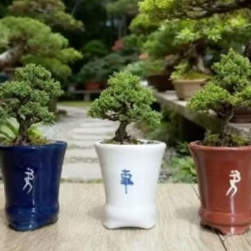 1Pcs Pot Keramik Bonsai Cascade Premium pot keramik tanaman hias pot keramik pohon bonsai