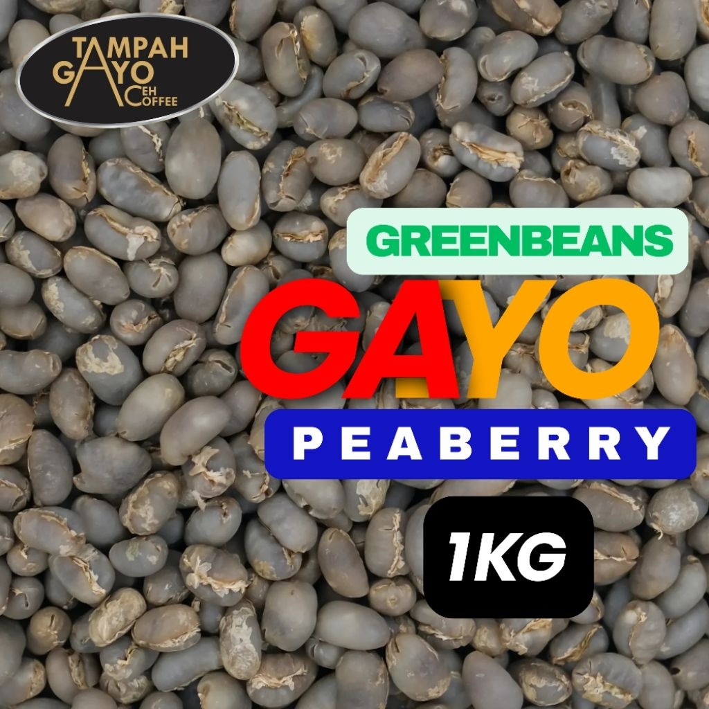 Kopi Gayo Peaberry 1kg Green Bean - Biji Kopi Mentah Arabika Gayo Aceh - Kopi Jantan Gayo 1 kg - Raw