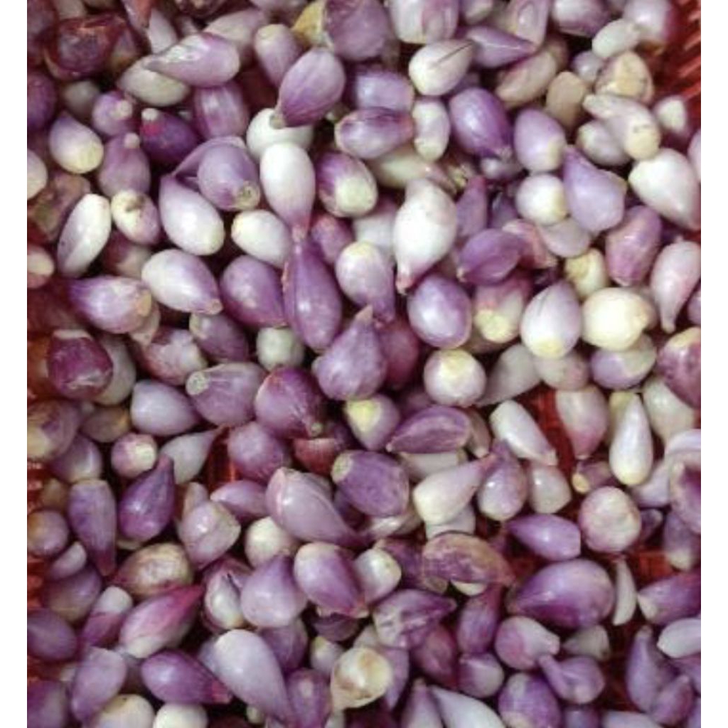 Bawang Merah Kupas & Bawang Putih Kupas