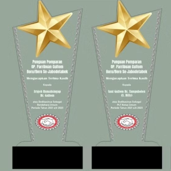 Plakat Akrilik Custom/Thropy Custom/Piala Akrilik Tinggi 30cm Tebal 8mm