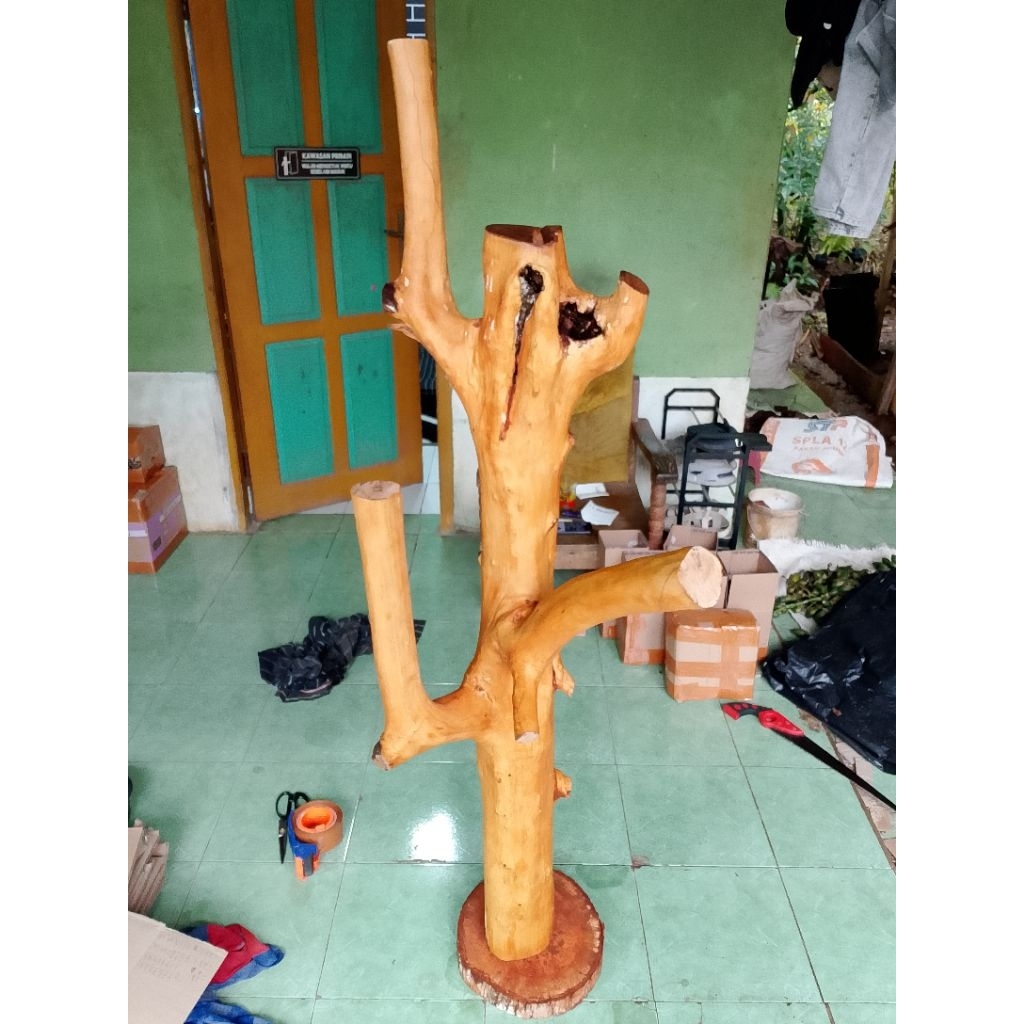 bonggol kayu kopi bercabang/media tempel anggrek T:150cm pluss tatakan bulat