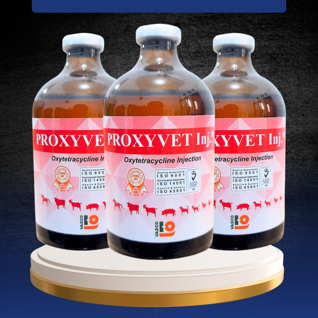 PROXYVET INJ 100 ML - AB Untuk Masalah Pernafasan dan Pencernaan Hewan Ternak