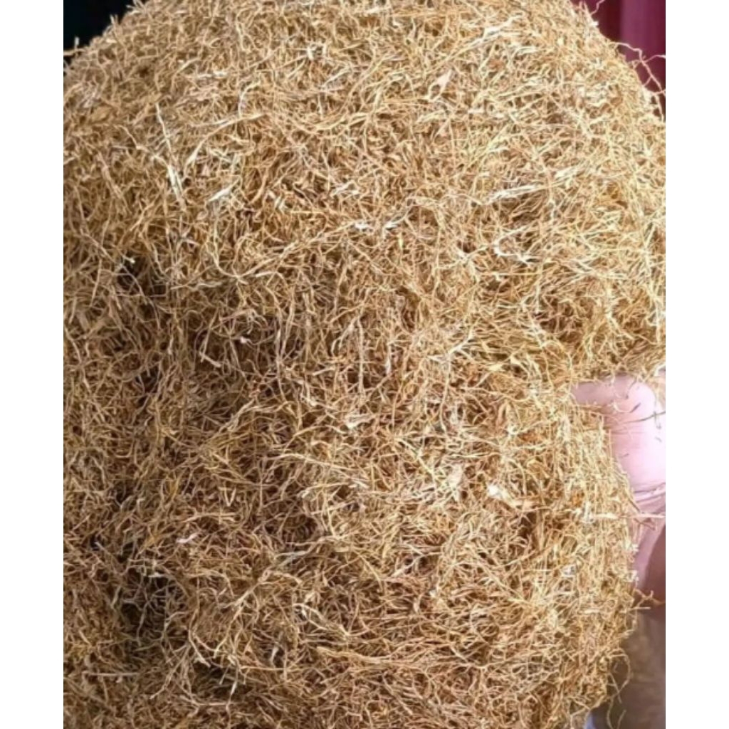 daun talas beneng kering 500g