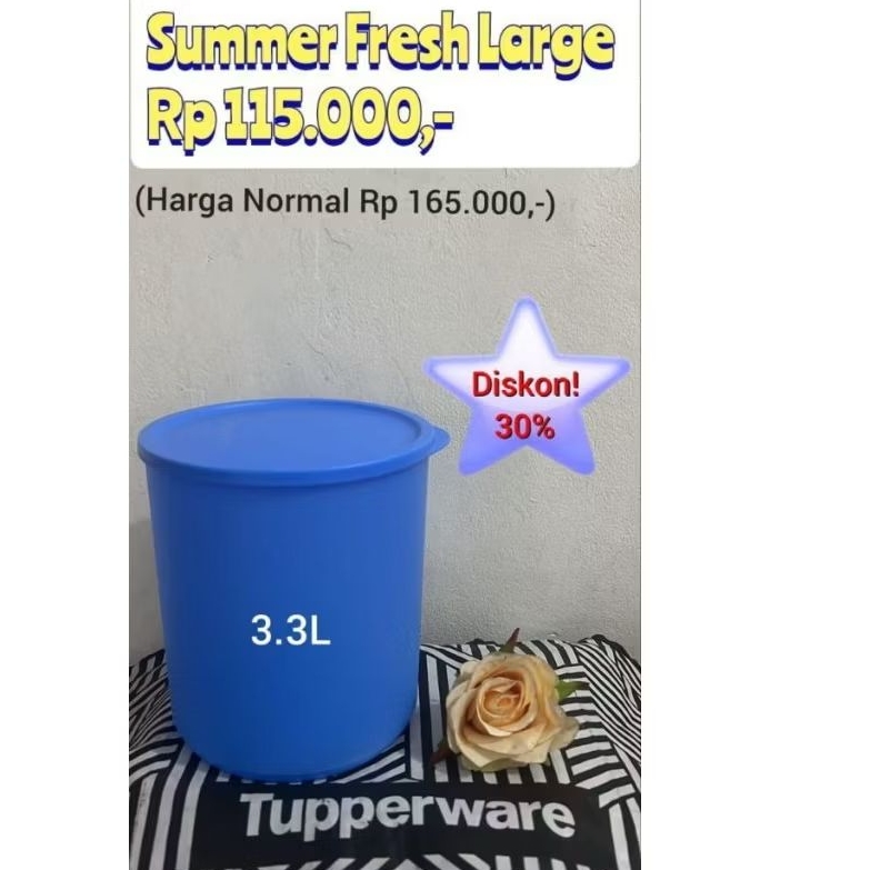 summer fresh large Tupperware 3,3L
