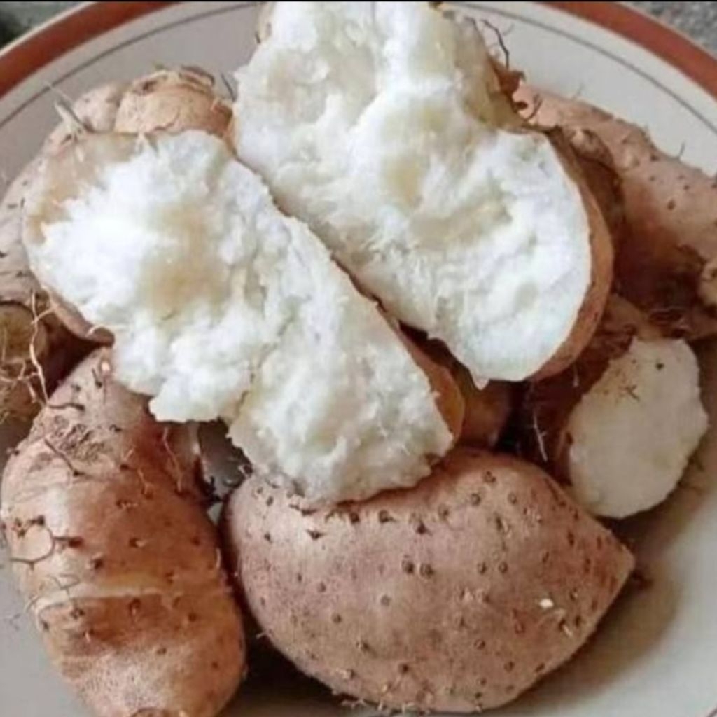 gembili / mbili