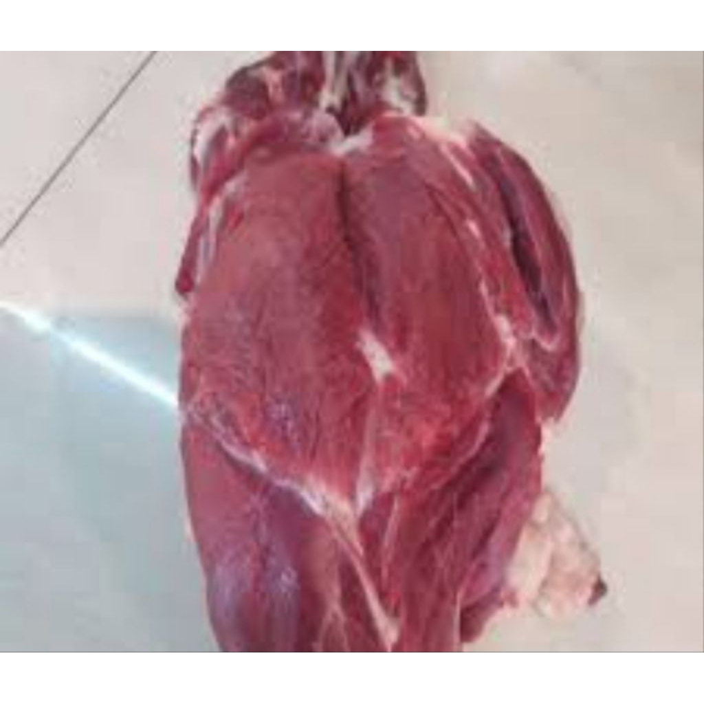 daging kambing segar kambing muda 1kg fresh utuh terlaris