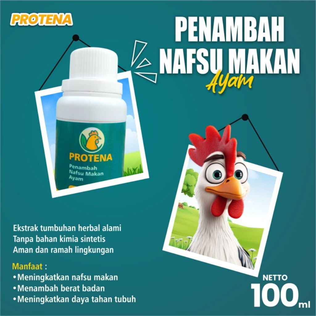 Protena Vitamin Ayam Kampung Agar Cepat Besar Anti Bulan Makan Nafsu Penggemuk Memperbesar Besar Pro