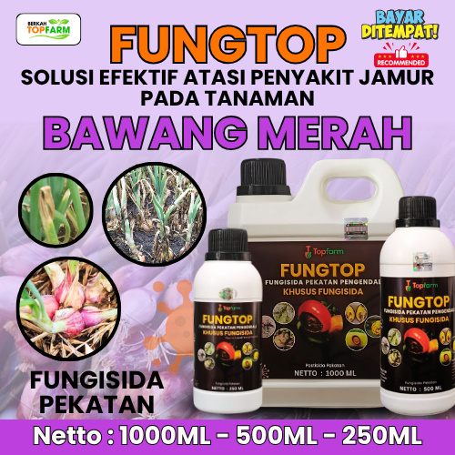Fungisida Pengendali Penyakit Jamur Bawang Merah / Obat Jamur Tanaman Bawang Merah / Obat Anti Jamur