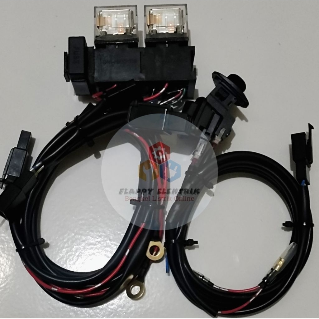 Relay Set Biled Vario LED OLD | 2 Relay