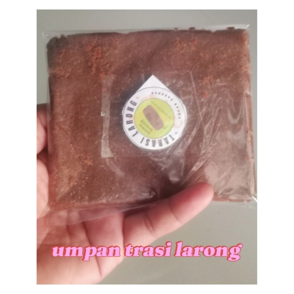umpan racikan terasi larong target bekukon