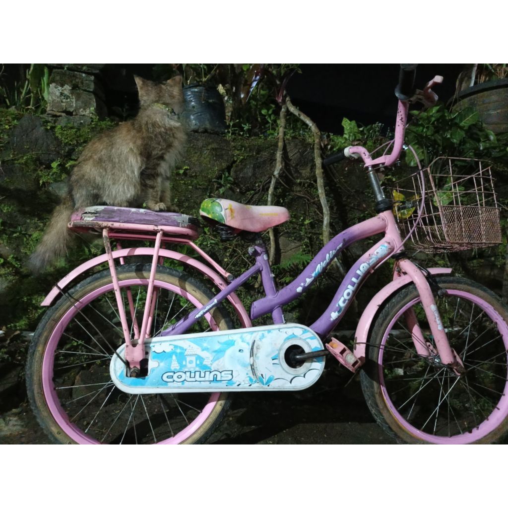 sepeda mini keranjang ring 18 colins second bekas pakai